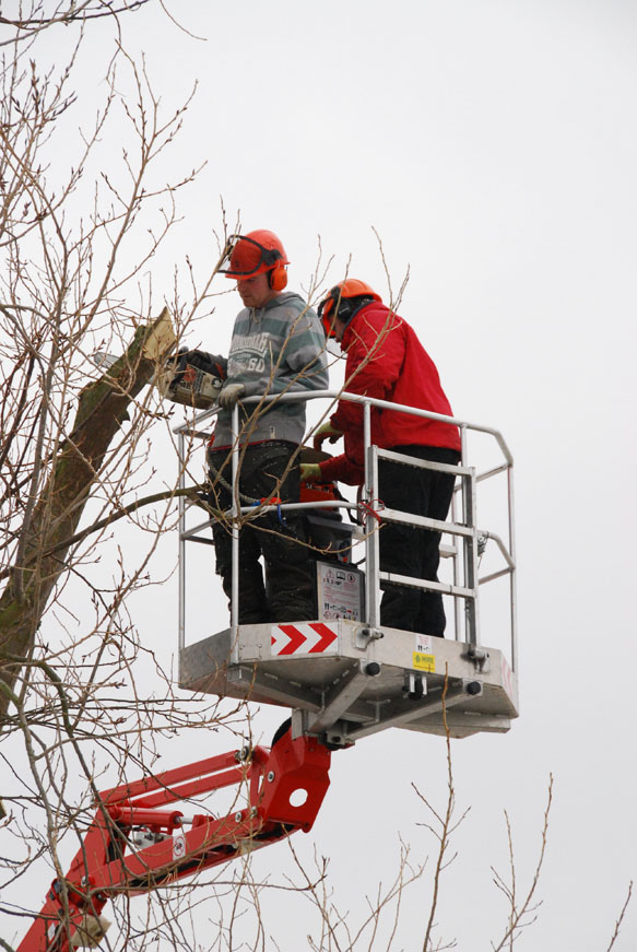 conservation_company_tree_surgery_natural_ponds_east_anglia_028