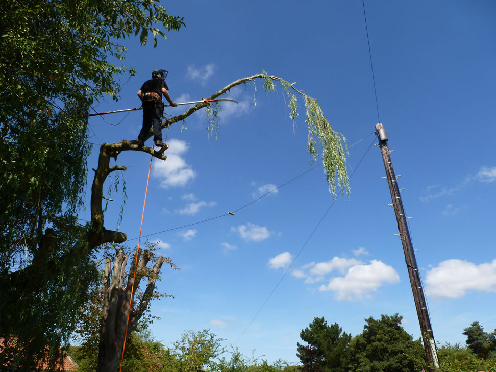 conservation_company_tree_surgery_natural_ponds_east_anglia_076